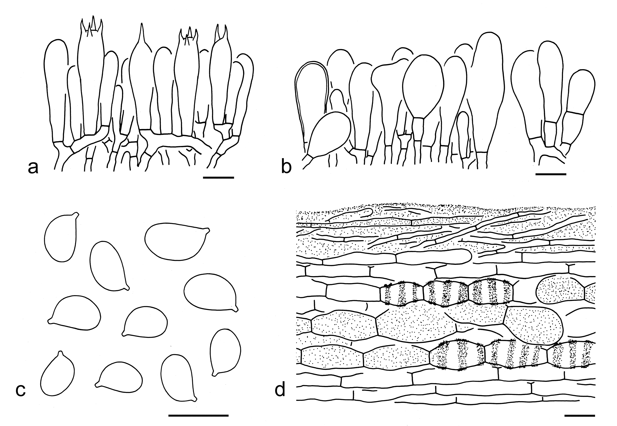 Figure 39